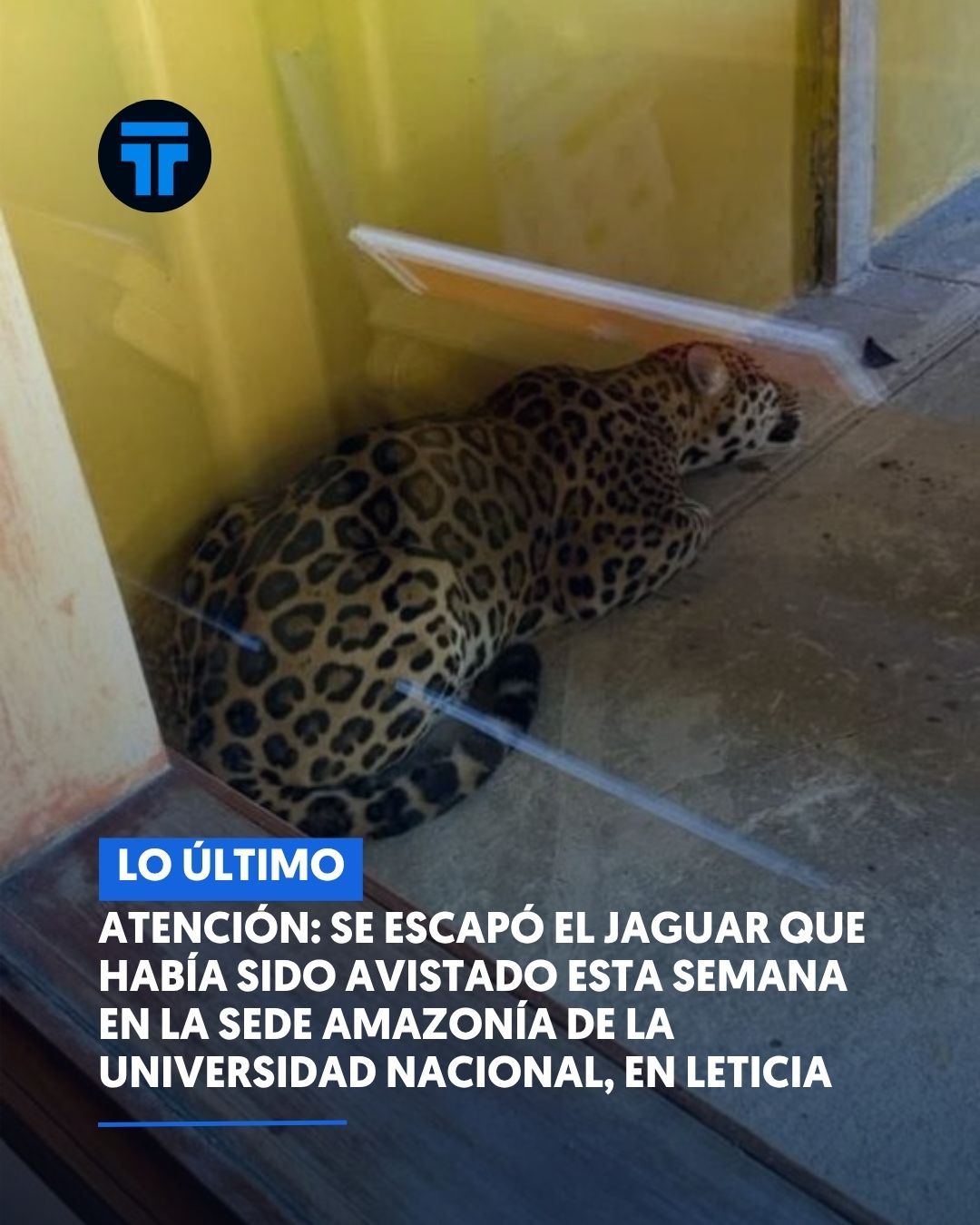 Noticia destacada