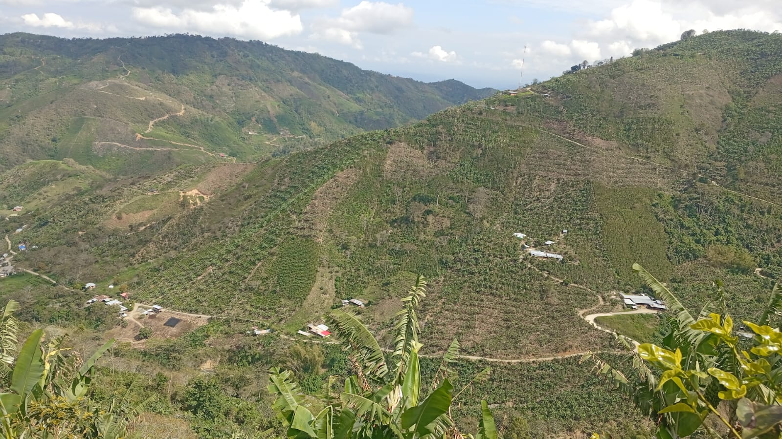 Tuluá